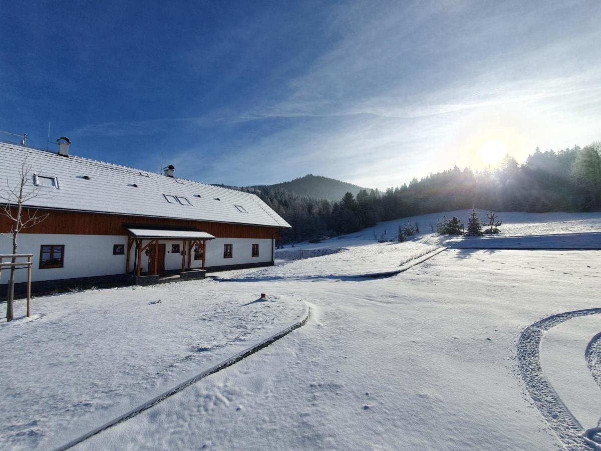 Penzion Stribrnik Krásná Exterior foto