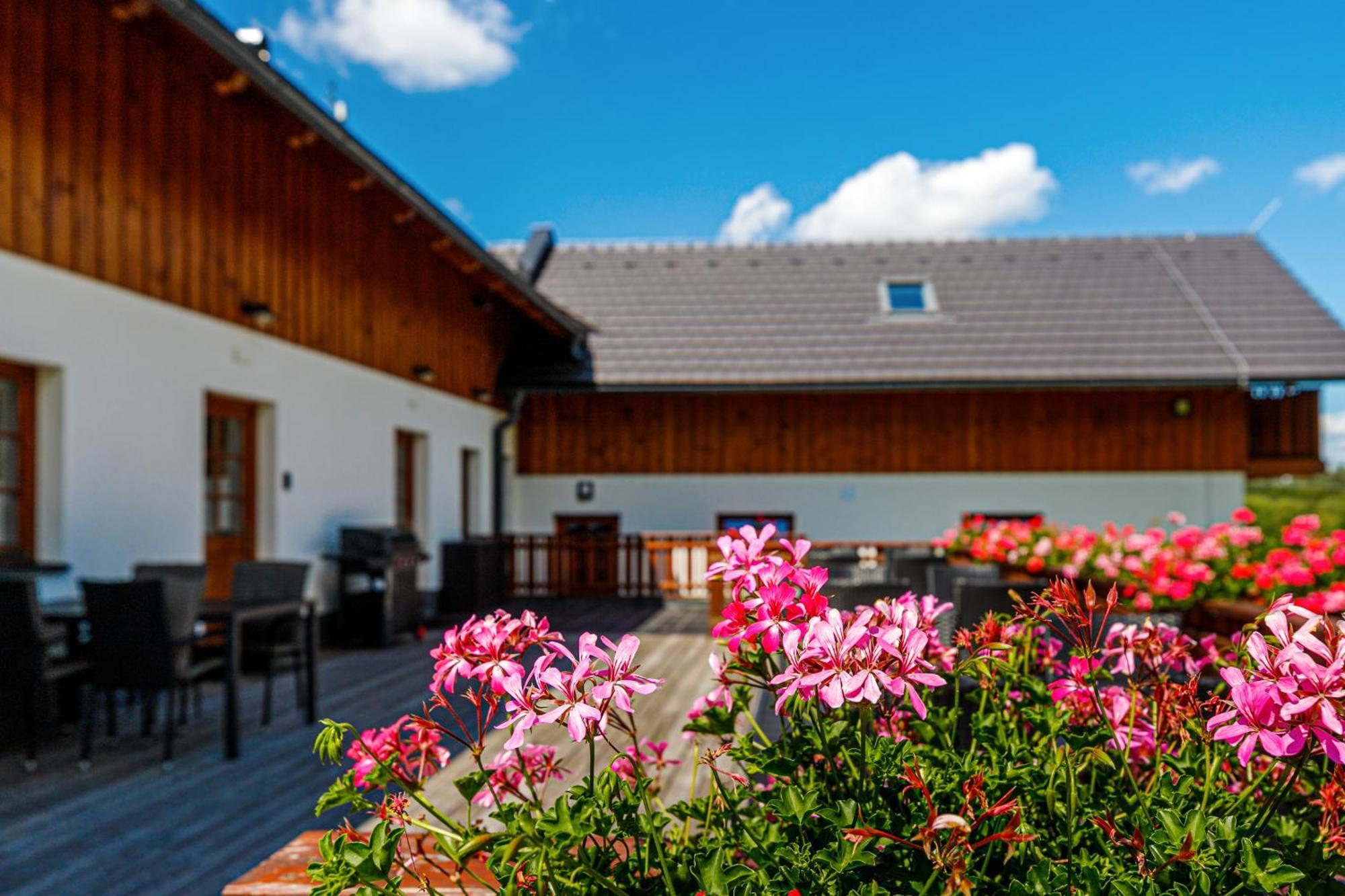 Penzion Stribrnik Krásná Exterior foto
